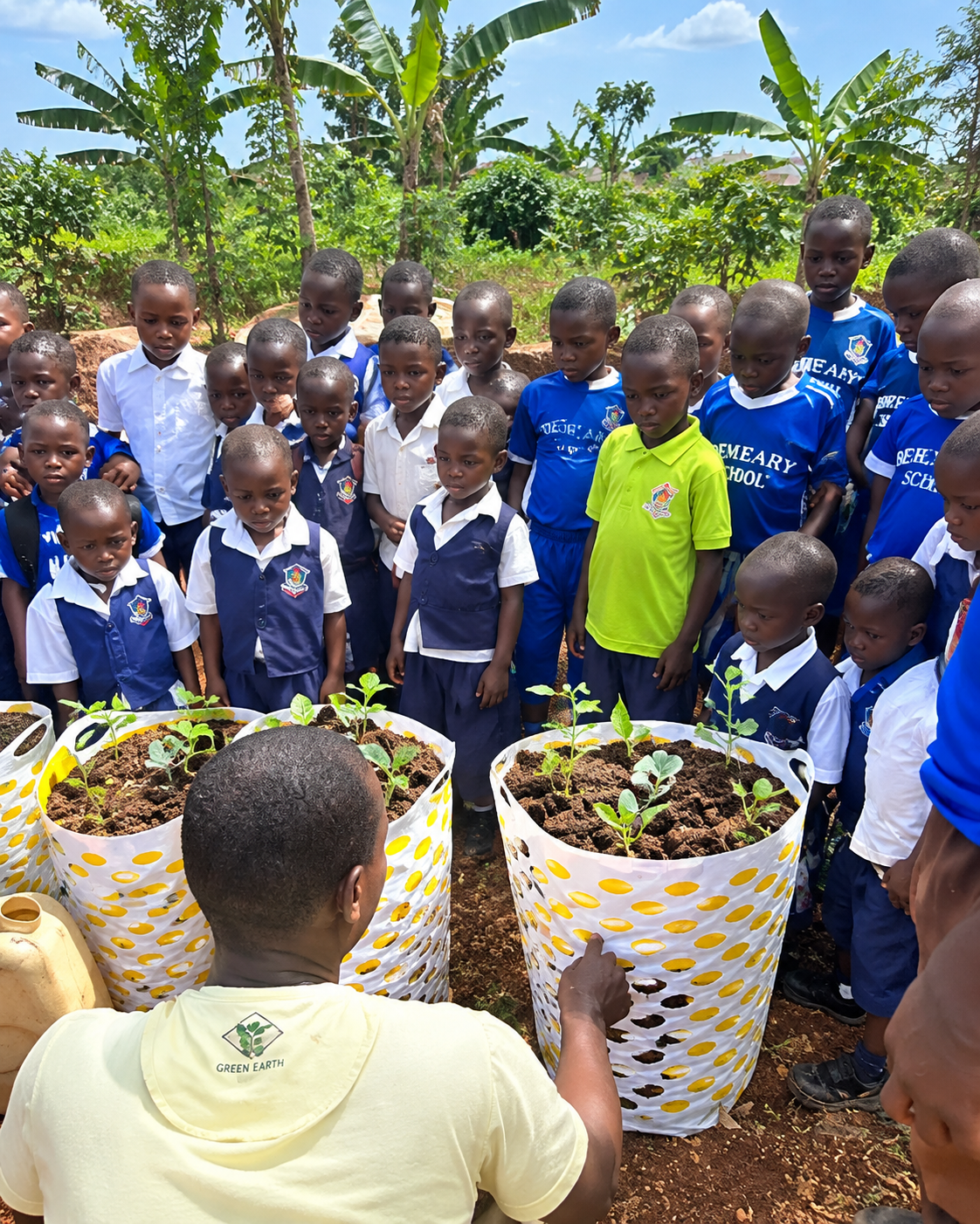 School Garden